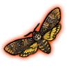 deathsheadmoth.png