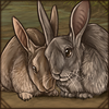 Cuddling Rabbits