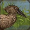 deertushhamerkop.png