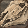 Horse Skull Decor