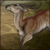 deertushlechwe.png