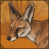 Rueppell's Fox
