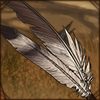 Secretary Bird Feather Decor