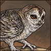 Desert Tawny Owl