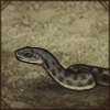 This nonvenomous snake looks harmless, but aside from playing dead, it can spread a horrible stench as a defence mechanism.