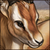 This little gazelle has decided to snuggle next to you and be your friend!