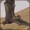 This bat can catch prey both in the air and from the ground! Actually, it's one of rare bat species where walking around is pretty easy for them!