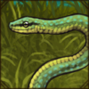 Emerald Snake