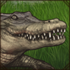 While they usually prefer to stay in saltwater habitats in India and Southeast Asia, this crocodile wants to follow you on your adventures. Part of the Singaporean set.