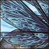 Fairies exist and you can even become one with this wing set. Delicate and elegant, they will bring your inner magic out.