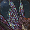 Fairies exist and you can even become one with this wing set. Delicate and elegant, they will bring your inner magic out.