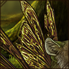 Fairies exist and you can even become one with this wing set. Delicate and elegant, they will bring your inner magic out.