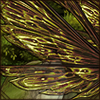 Fairies exist and you can even become one with this wing set. Delicate and elegant, they will bring your inner magic out.