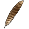 Nightjar Feather