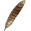 feather_nightjar.png