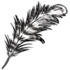 feather_sacredibis.png