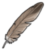 Vulture Feather