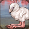 flamingochick.png