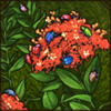 These brightly colored beetles are just as colorful as any flower you've seen!