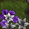 You're surrounded by flowers that are blooming in the most amazing colours!