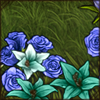 You're surrounded by flowers that are blooming in the most amazing colours!