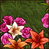 You're surrounded by flowers that are blooming in the most amazing colours!