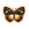 This striking butterfly can be found throughout Africa.