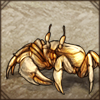 To see the crab, you have to focus and wait for it to move. It blends in with the sand extremely well.