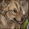 goldenjackal_icon.png