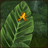 What a beautiful little golden friend! They are endangered and need a big strong lion to protect them.
