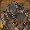 Grandidier's Tufted-tailed Rat