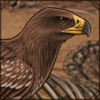 greaterspottedeagle.png