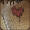 Event Scar: Heart