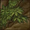 heavybranches.png