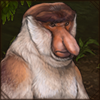 With a nose like that, this monkey is sure to be the envy of all other primates! Part of Bornean theme set.