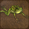 jumpingfrog.png