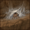 This aggressive tarantula might be hiding in a cozy web tunnel for now, but it will grab any locust around your den!