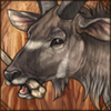 Bone Chewing Kudu