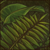 largeleaves.png