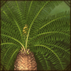 lebombocycad.png