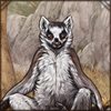 Sitting Ring-Tailed Lemur