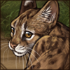 leopardcat.png