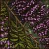 [S] Lilac Tree