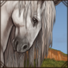 lipizzanhorse.png