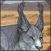 Maybe the longer hair on your ears will help with the bugs? Or maybe you want to look like a lynx?