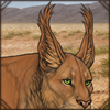 Maybe the longer hair on your ears will help with the bugs? Or maybe you want to look like a lynx?