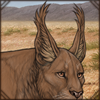 Maybe the longer hair on your ears will help with the bugs? Or maybe you want to look like a lynx?