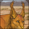 Maybe the longer hair on your ears will help with the bugs? Or maybe you want to look like a lynx?