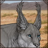 Maybe the longer hair on your ears will help with the bugs? Or maybe you want to look like a lynx?