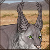 Maybe the longer hair on your ears will help with the bugs? Or maybe you want to look like a lynx?